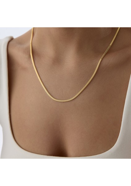 Large Zurelia Balık Sırtı Zincir