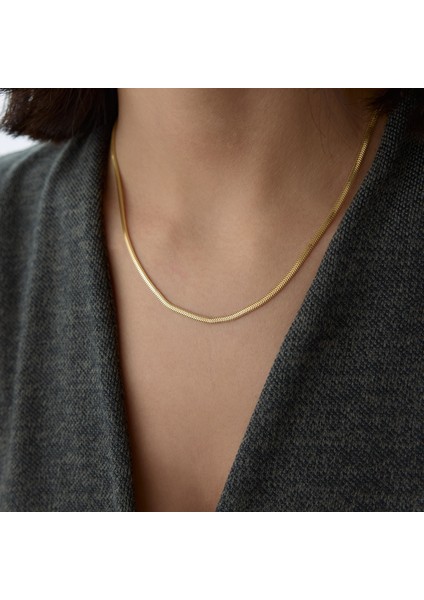 Zurelia Balık Sırtı Zincir