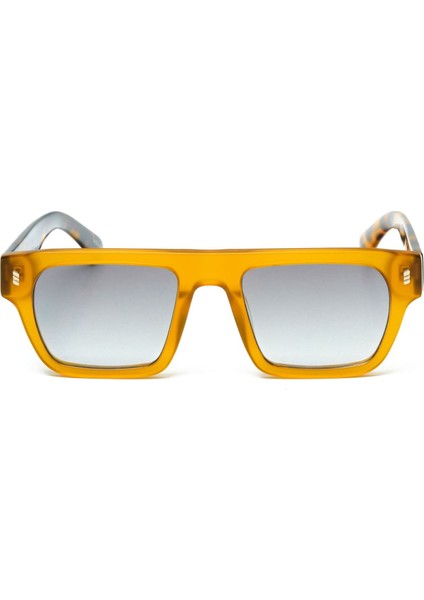 Darvın C3 54 Erkek Güneş Gözlüğü fiyatları