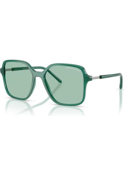 Ax 4163S 8398/2 53 Kadın Güneş Gözlüğü