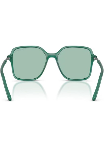 Ax 4163S 8398/2 53 Kadın Güneş Gözlüğü modelleri