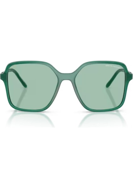 Ax 4163S 8398/2 53 Kadın Güneş Gözlüğü fırsatları