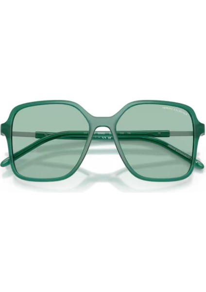 Ax 4163S 8398/2 53 Kadın Güneş Gözlüğü indirimleri