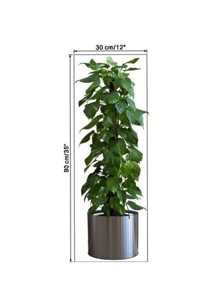 Saksılı Bitki Tasarımlı Yapışkanlı Sticker Resim 90*30 cm MC-665 modelleri