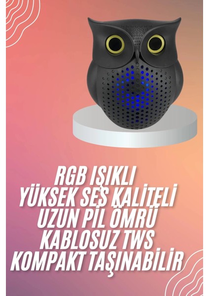 Müzik Çalar Bluetooth Hoparlör Speaker 5.0 Kablosuz Baykuş Görünümlü fiyatları