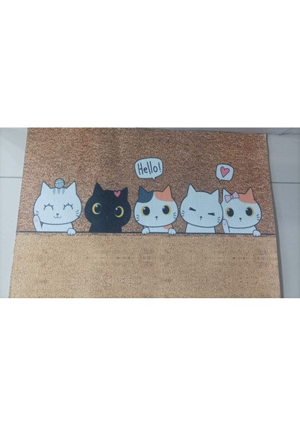 Yavru Kediler Kapı Önü Paspas