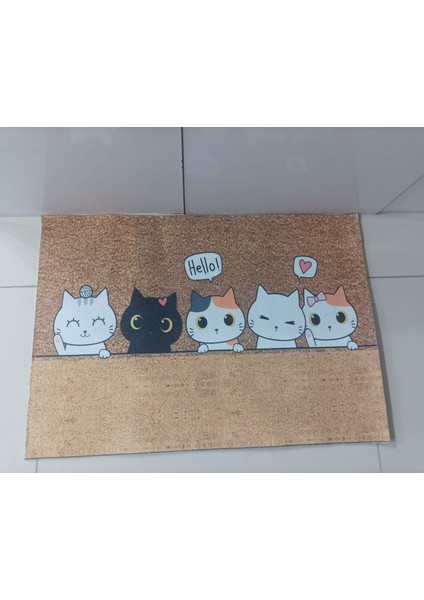 Yavru Kediler Kapı Önü Paspas fiyatları