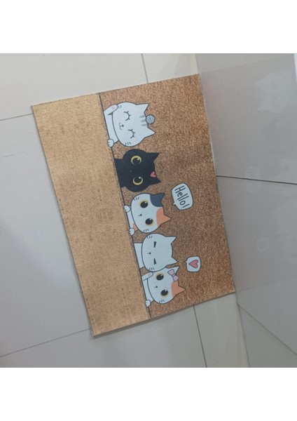 Yavru Kediler Kapı Önü Paspas modelleri