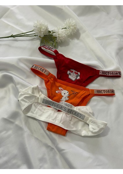 Kadın Külot 3 Lü Slipkutulu fiyatları