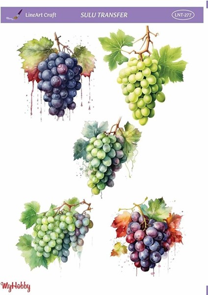 Üzüm Desenli Sulu Transfer LNT-277 25X35