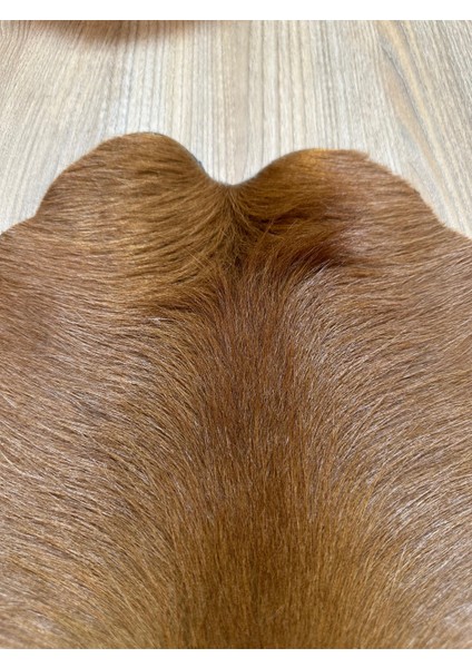 %100 Hakiki Dana Derisi Post Halı – Kahverengi (52X65 Cm) indirimleri