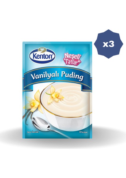 Puding Neşeli Tatlar Vanilya 125 gr - (3 Adet)