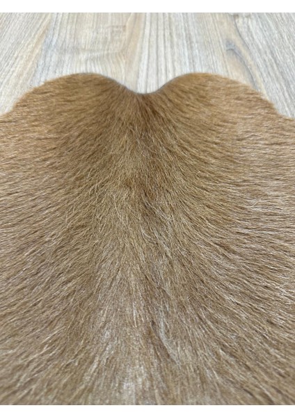 %100 Hakiki Dana Derisi Post Halı – Kahverengi (54X67 Cm) modelleri