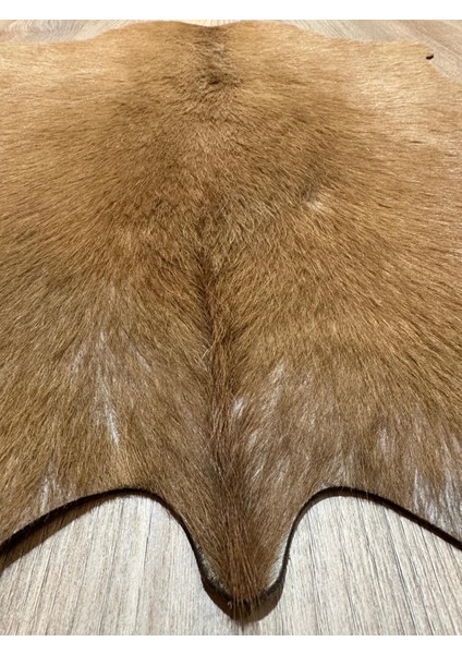 %100 Hakiki Dana Derisi Post Halı – Kahverengi (54X67 Cm) fırsatları