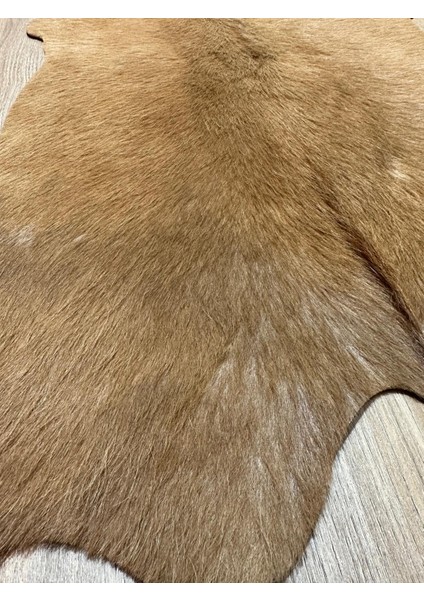 %100 Hakiki Dana Derisi Post Halı – Kahverengi (54X67 Cm) indirimleri