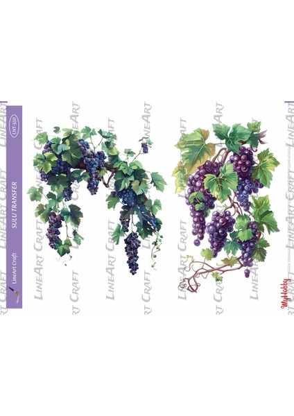 LNT550 Üzüm, Asma, Mor Tonları Açık Zemin Sulu Transfer 25*35 cm