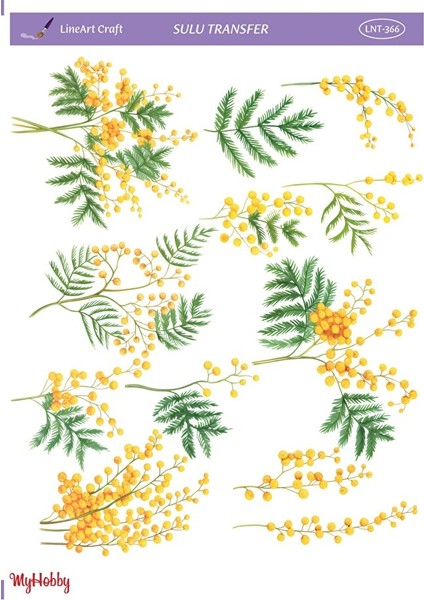 Lnt 366 Mimoza, Çiçek Desenli Açık Zemin Sulu Transfer 25*35 cm