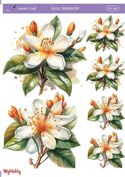 Lnt 367 Manolya, Çiçek Desenli Açık Zemin Sulu Transfer 25*35 cm