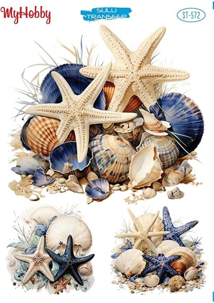 ST572 Deniz Yıldızı, Deniz Kabuğu, Marine Desen Açık Zemin Sulu Transfer 25*35 cm