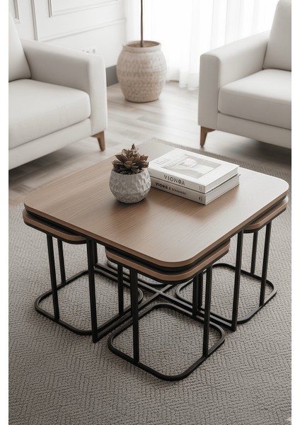 Afra 5'li Oval Kenar 4+1 Siyah Ayak Zigon Sehpa & Orta Sehpa