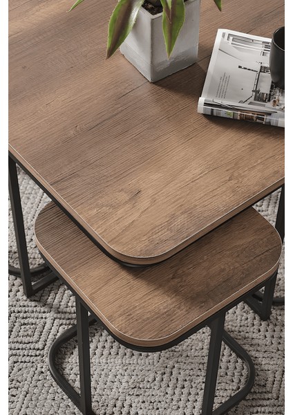 Afra 5'li Oval Kenar 4+1 Siyah Ayak Zigon Sehpa & Orta Sehpa indirimleri