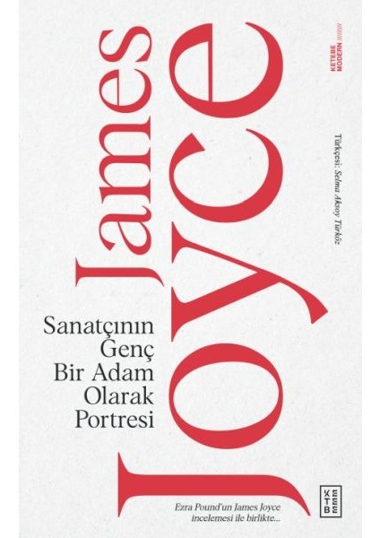 Sanatçının Genç Bir Adam Olarak Portresi