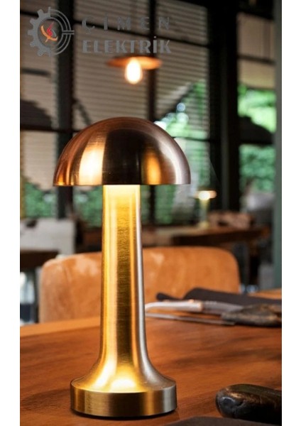 Noas YL86 1230 Atina Şarjlı Gold Masa Lambası 3 Renk modelleri