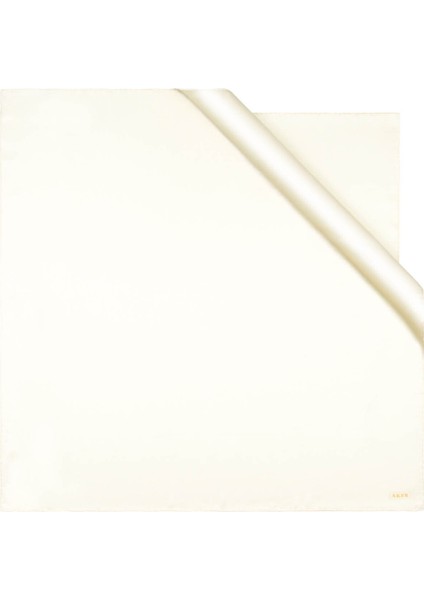 Kadın Sütlü Kahverengi Eşarp fırsatları