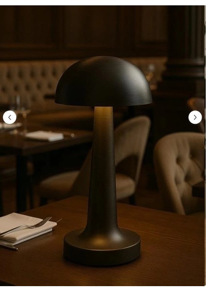 Cata Ct 8428 Lizbon Siyah Kasa Antik Şarjlı Masa Lambası fiyatları