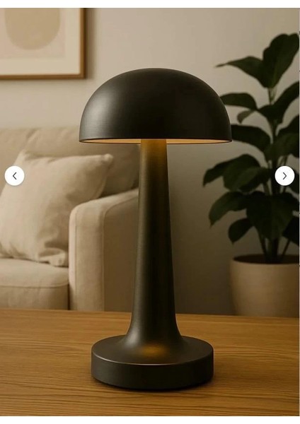 Cata Ct 8428 Lizbon Siyah Kasa Antik Şarjlı Masa Lambası modelleri