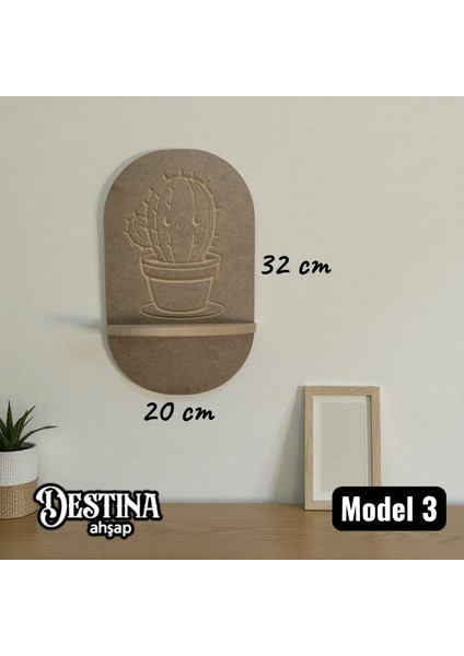 Boyanabilir Raf modelleri