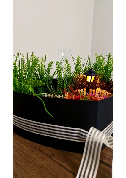 Kalpli kutuda teraryum modelleri