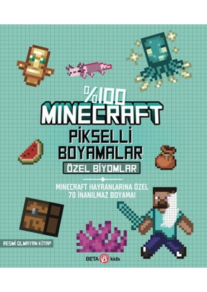 %100 Minecraft Pikselli Boyamalar Özel Biyomlar