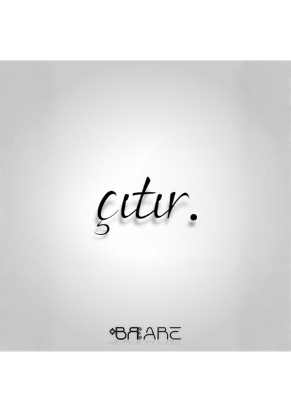 Portakal Kuru Meyve Cipsi | Fırınlanarak Kurutulmuş Doğal Taze Hasat Air Dried Çıtır Portakal modelleri