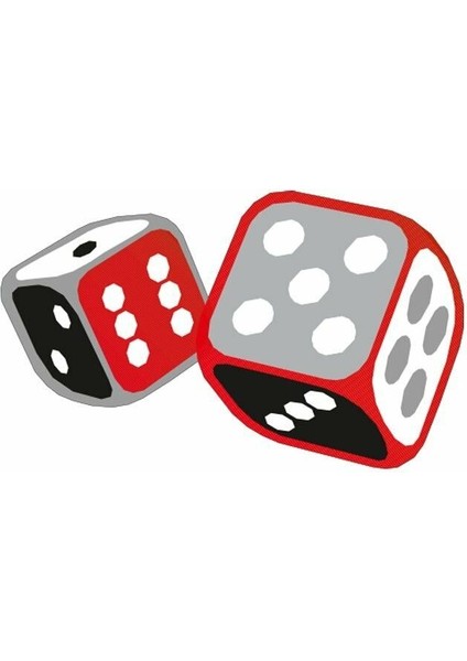 Zar Motor Özel ve Oto Sticker Kabartmalı 6X10 cm A+Kalite