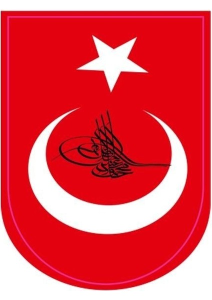 Türk Bayrağı Motor Özel ve Oto Sticker Kabartmalı 7x9 cm A+Kalite