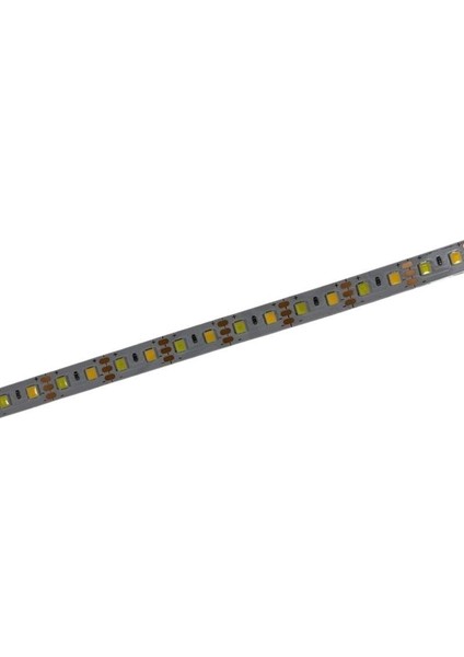 5V Beyaz+Gün Işığı Çift Renkli Şerit LED (8mm Pcb) 5 Volt Şerit LED (IP20) (5 Metre)