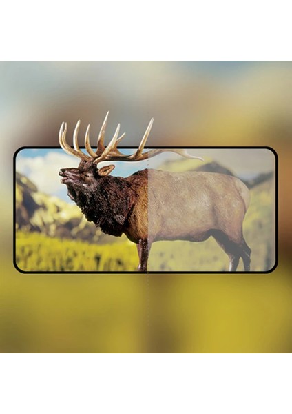 Oppo Reno 4 Full Glue Tempered Cam Ekran Koruyucu Full KAPLAMA-(5775) - T072G897-Z18072 fırsatları