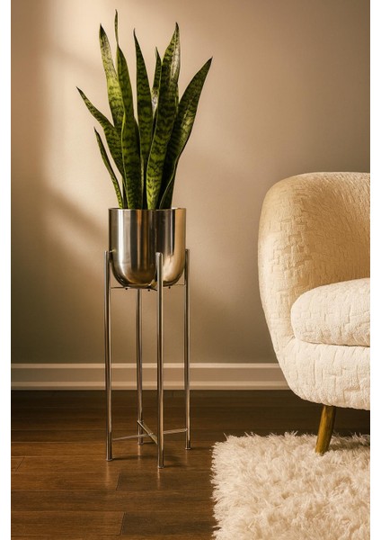 60 cm 20 cm Nikel Saksılık