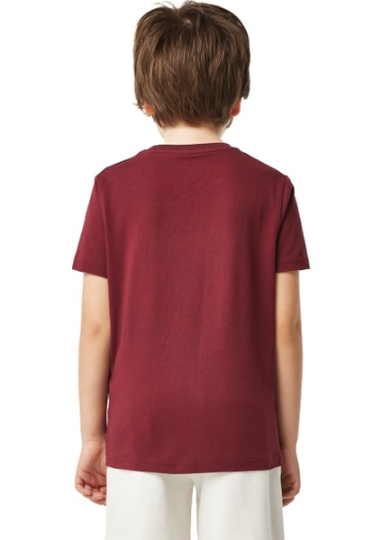 Galatasaray Çocuk T-Shirt C251047 indirimleri