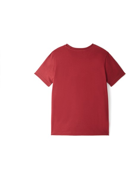 Galatasaray Çocuk T-Shirt C251047