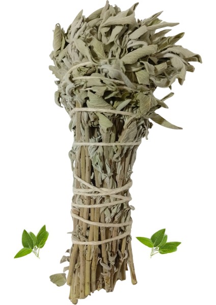 %100 Doğal Adaçayı Tütsüsü (1 Adet )