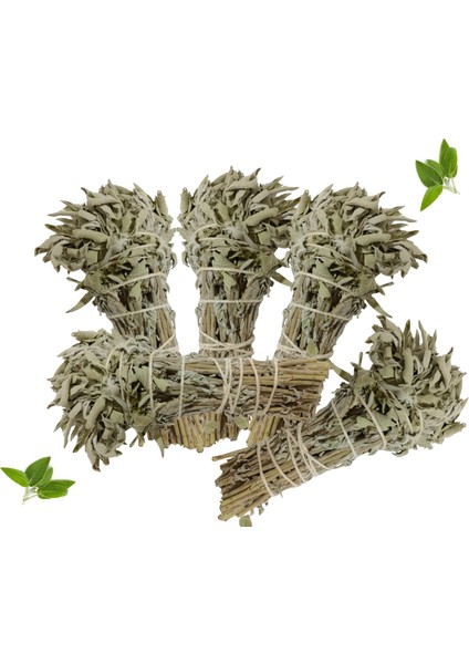 %100 Doğal Adaçayı Tütsüsü (1 Adet ) fiyatları