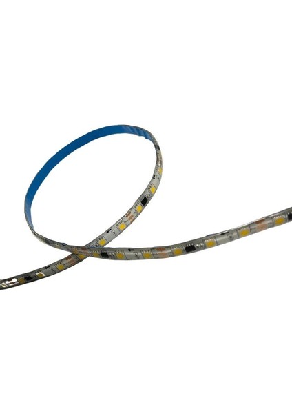 WS2811 Gün Işığı Pixel Şerit LED 12VOLT İP65 Dış Mekan 5m
