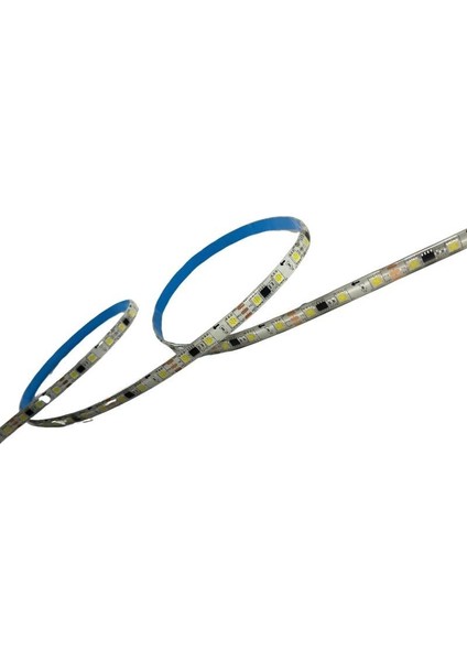 WS2811 Beyaz Pixel Şerit LED 12VOLT İP65 Dış Mekan 5m