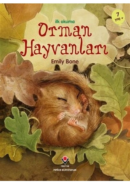 Ilk Okuma - Orman Hayvanları