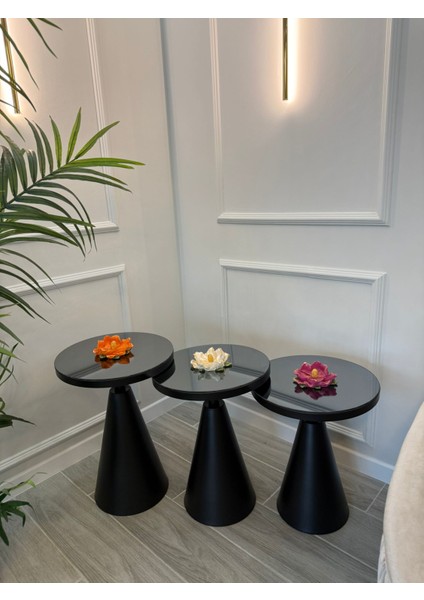 3 Lü Class Siyah Aynalı Sehpa modelleri