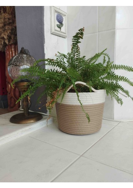 Dekoratif Düzenleyici Sepet Saksılık fiyatları