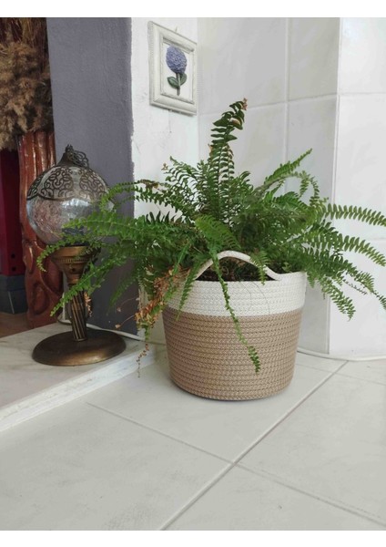 Dekoratif Düzenleyici Sepet Saksılık fırsatları