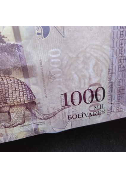3996368F6220541A44 2017 Venezuela 1000 Bolivar Çil Kağıt Para fiyatları